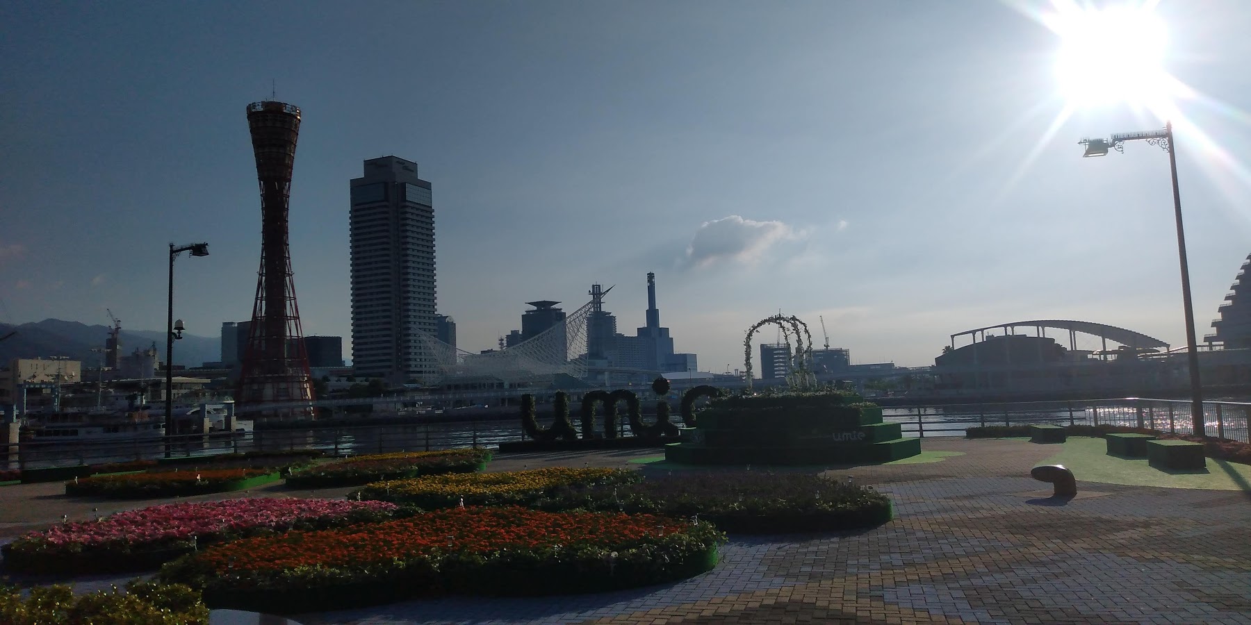 IMG_20200816_065022